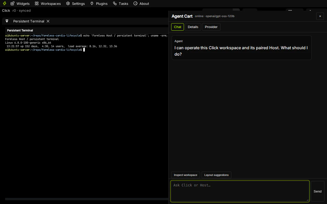 Desktop persistent terminal panel backed by Host